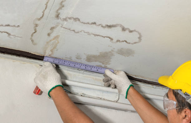 Reliable Mold Remediation contractor in Butte Des Morts, WI by Water Damage Irwin